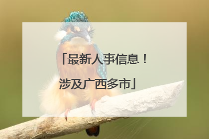 最新人事信息！涉及广西多市