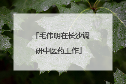 毛伟明在长沙调研中医药工作