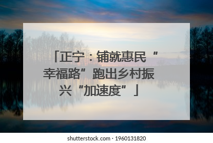 正宁：铺就惠民“幸福路”跑出乡村振兴“加速度”