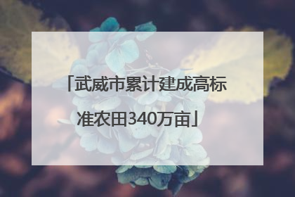 武威市累计建成高标准农田340万亩
