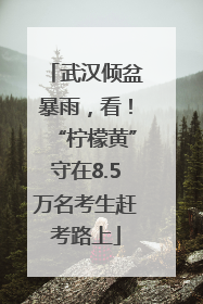 武汉倾盆暴雨，看！“柠檬黄”守在8.5万名考生赶考路上