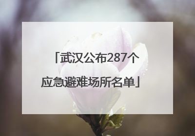 武汉公布287个应急避难场所名单