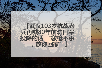 武汉103岁抗战老兵再喊80年前劝日军投降的话 “缴枪不杀，放你回家”