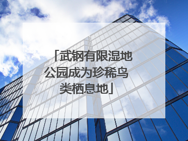 武钢有限湿地公园成为珍稀鸟类栖息地