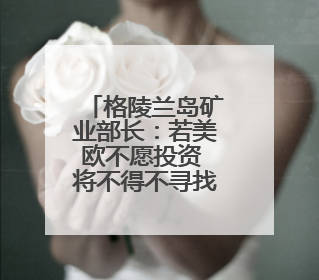 格陵兰岛矿业部长：若美欧不愿投资 将不得不寻找其他合作伙伴
