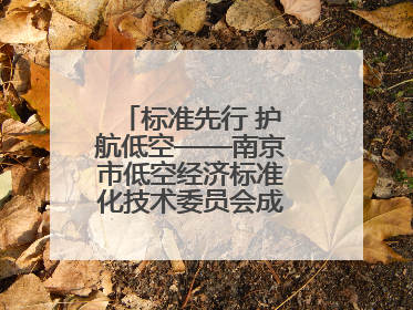 标准先行 护航低空——南京市低空经济标准化技术委员会成立大会召开