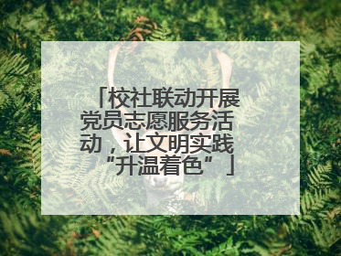 校社联动开展党员志愿服务活动，让文明实践“升温着色”