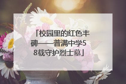 校园里的红色丰碑——普满中学58载守护烈士墓