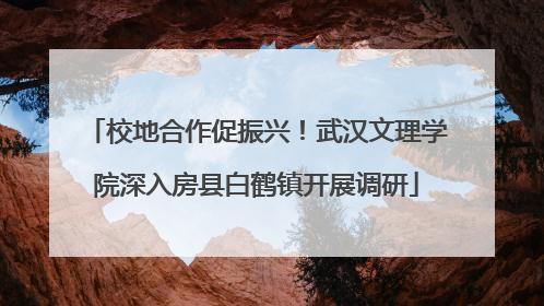 校地合作促振兴！武汉文理学院深入房县白鹤镇开展调研