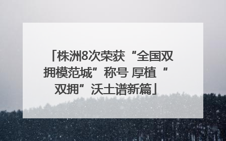 株洲8次荣获“全国双拥模范城”称号 厚植“双拥”沃土谱新篇