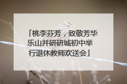 桃李芬芳，致敬芳华 乐山井研研城初中举行退休教师欢送会