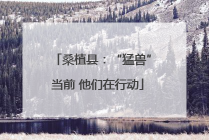 桑植县：“猛兽”当前 他们在行动