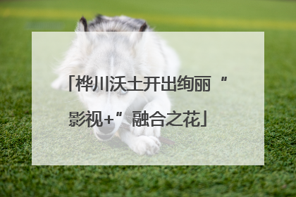 桦川沃土开出绚丽“影视+”融合之花