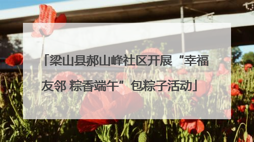 梁山县郝山峰社区开展“幸福友邻 粽香端午”包粽子活动