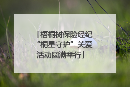 梧桐树保险经纪“桐星守护”关爱活动圆满举行