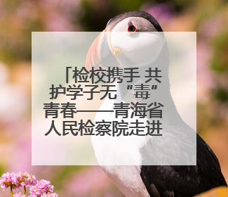 检校携手 共护学子无“毒”青春——青海省人民检察院走进西宁市大通县第一完全中学开展禁毒宣传侧记