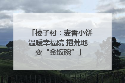 楼子村：麦香小饼温暖幸福院 撂荒地变“金饭碗”