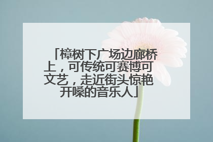 樟树下广场边廊桥上，可传统可赛博可文艺，走近街头惊艳开嗓的音乐人