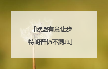 欧盟有意让步 特朗普仍不满意