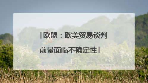 欧盟：欧美贸易谈判前景面临不确定性