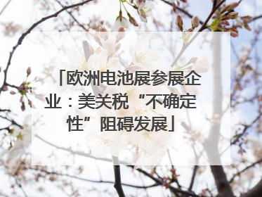 欧洲电池展参展企业：美关税“不确定性”阻碍发展
