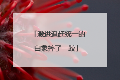激进追赶统一的白象摔了一跤