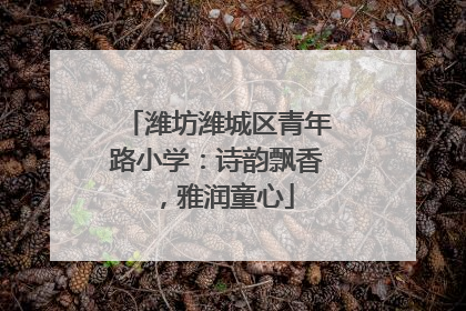 潍坊潍城区青年路小学：诗韵飘香，雅润童心