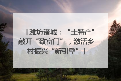 潍坊诸城：“土特产”敲开“致富门”，激活乡村振兴“新引擎”