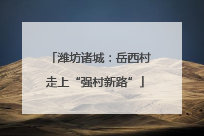 潍坊诸城：岳西村走上“强村新路”