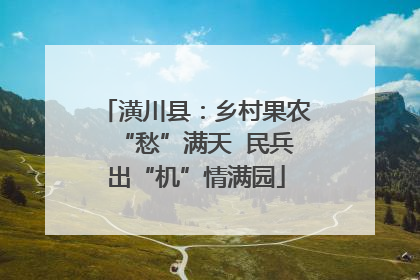 潢川县：乡村果农“愁”满天  民兵出“机”情满园