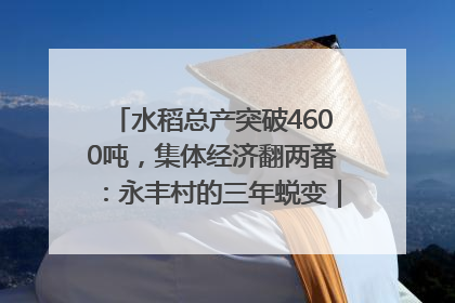 水稻总产突破4600吨，集体经济翻两番：永丰村的三年蜕变｜您牵挂的四川