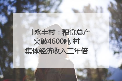 永丰村：粮食总产突破4600吨 村集体经济收入三年倍增｜牵挂的村