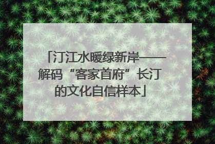 汀江水暖绿新岸——解码“客家首府”长汀的文化自信样本