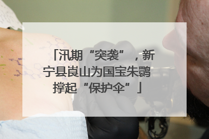 汛期“突袭”，新宁县崀山为国宝朱鹮撑起“保护伞”