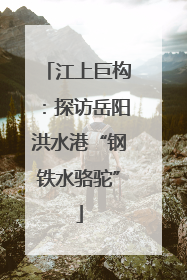 江上巨构：探访岳阳洪水港“钢铁水骆驼”