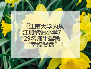 江南大学为从江加鸠镇小学729名师生端稳“幸福餐盘”