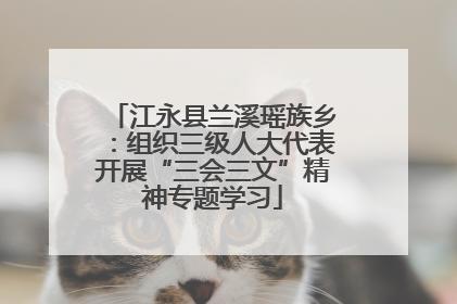 江永县兰溪瑶族乡：组织三级人大代表开展“三会三文”精神专题学习