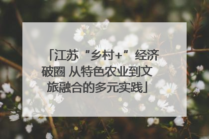 江苏“乡村+”经济破圈 从特色农业到文旅融合的多元实践