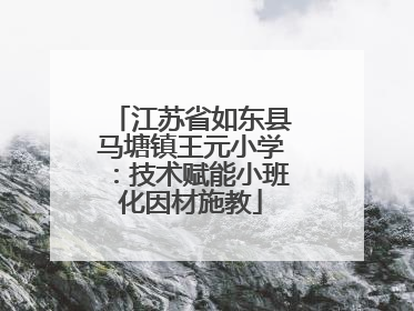 江苏省如东县马塘镇王元小学：技术赋能小班化因材施教
