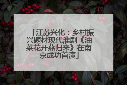江苏兴化：乡村振兴题材现代淮剧《油菜花开燕归来》在南京成功首演