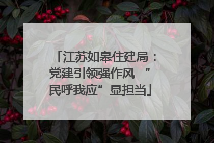 江苏如皋住建局：党建引领强作风 “民呼我应”显担当