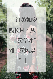 江苏如皋钱长村：从“卖草坪”到“卖风景”