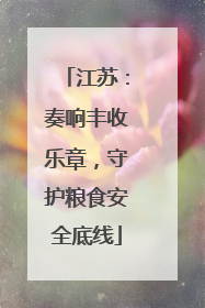 江苏：奏响丰收乐章，守护粮食安全底线