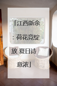江西新余：荷花竞绽放 夏日诗意浓