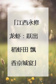 江西永修龙虾：跃出稻虾田 飘香京城宴