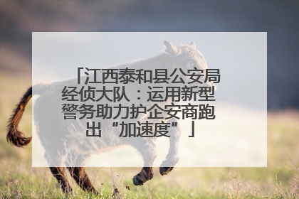 江西泰和县公安局经侦大队：运用新型警务助力护企安商跑出“加速度”