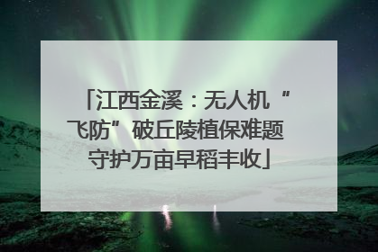 江西金溪：无人机“飞防”破丘陵植保难题 守护万亩早稻丰收