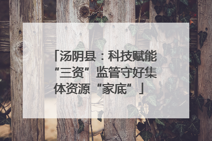 汤阴县：科技赋能“三资”监管守好集体资源“家底”