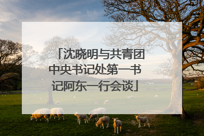 沈晓明与共青团中央书记处第一书记阿东一行会谈
