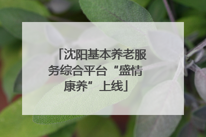 沈阳基本养老服务综合平台“盛情康养”上线